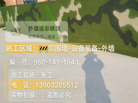 莱芜 迷彩漆喷涂价格（按平方米计费）