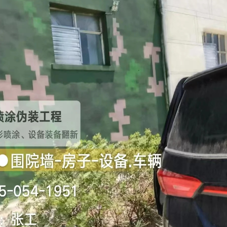 莱芜数码迷彩漆施工